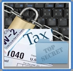 Individual Income Tax Preparation